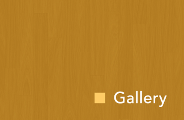 GALLERYBumper1
